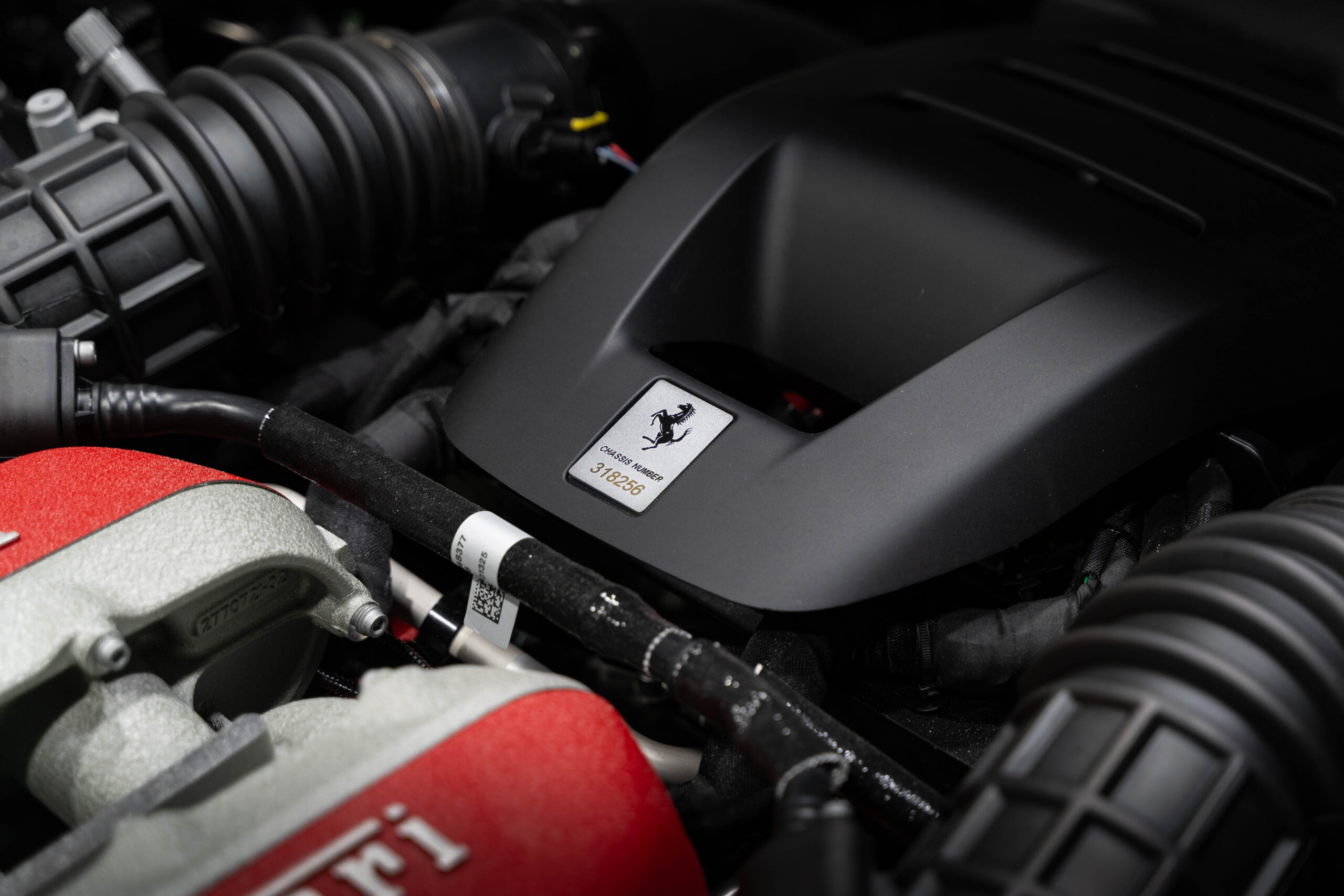 Ferrari Pure Sanque - foto 8