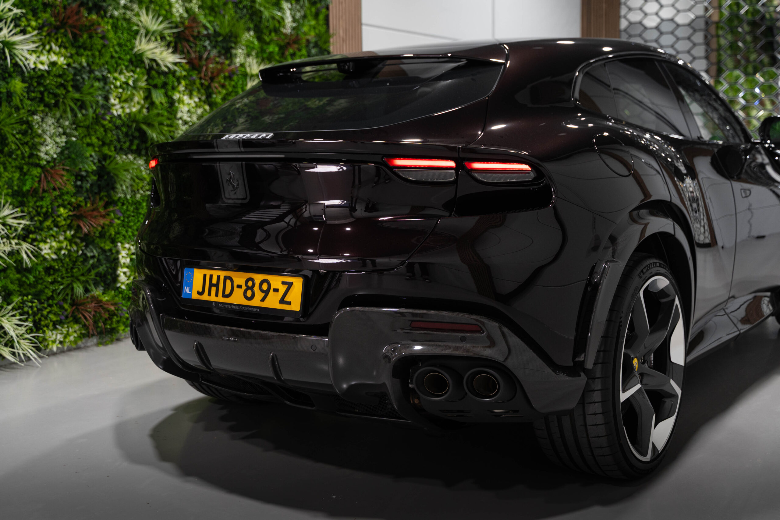 Ferrari Pure Sanque - foto 6