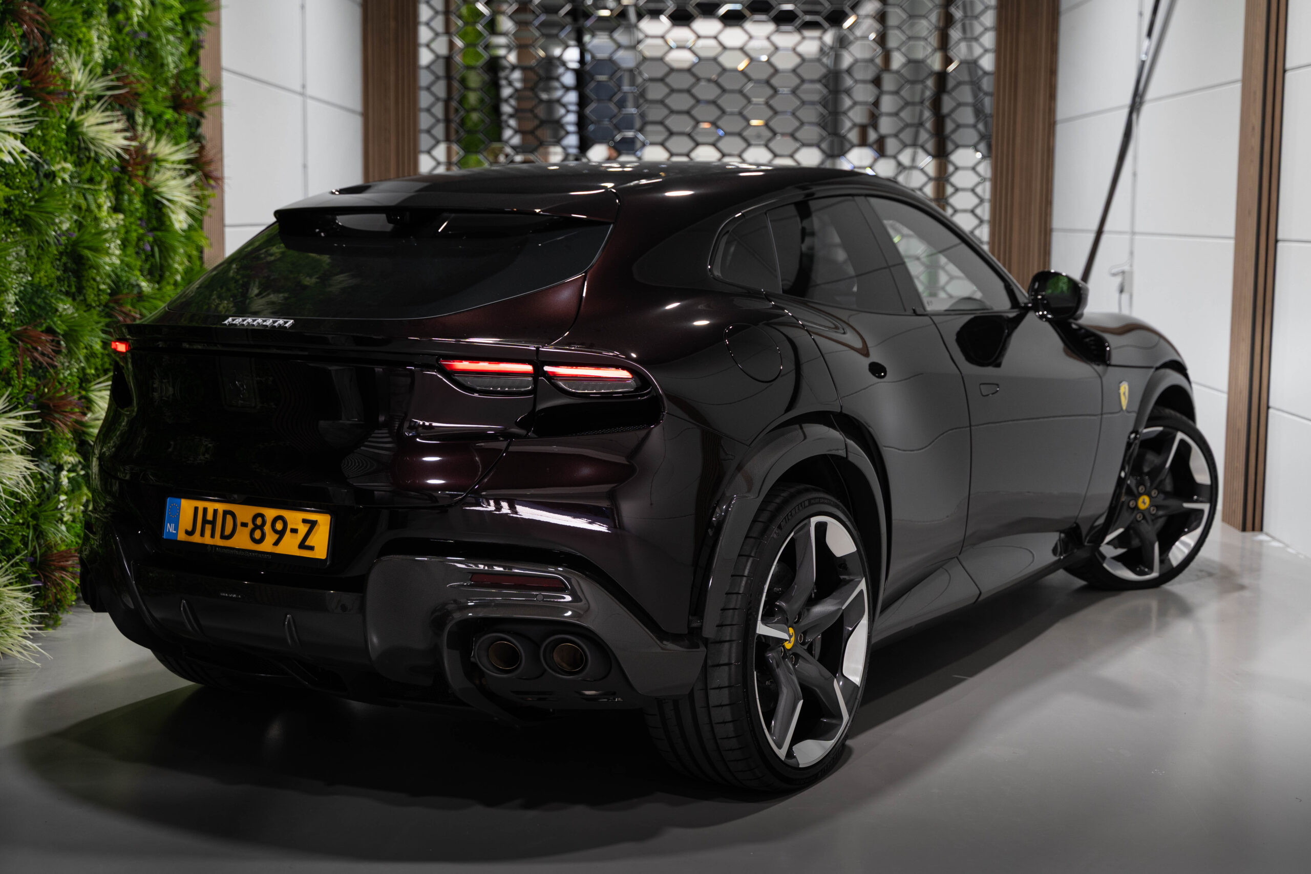 Ferrari Pure Sanque - foto 2